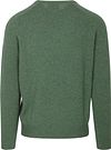 Sweter Steppin' Out z dekoltem w serek, wełna jagnięca, średnia zieleń Product / Achterkant