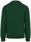 Lacoste Pullover Grün