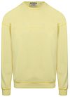 Scotch and Soda Sweatshirt Core Logo Gul 180072-730