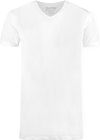 Slater 2-pak t-shirt V-neck Hvid Product
