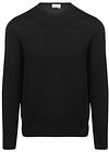 Profuomo Pullover Merino Wool Black PPWJ30001G-A order online | Suitable