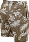 Short con stampa Scotch and Soda verde scuro Product / Detail
