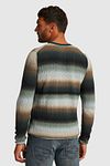 Cast Iron Sweater Stripes Multicolour Model / Achterkant