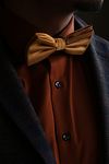 Bow Tie Silk Gold 12 Model / Sfeerbeeld