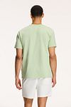 Shiwi T-shirt Antigua Port Dust Green Model / Achterkant