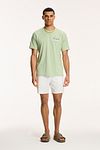T-Shirt Shiwi Antigua en verde polvo Port Dust Model / Voorkant