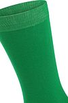 Passende Socken Bio Grün Product / Detail