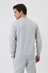 Bjorn Borg Sweter jasnoszary Model / Achterkant