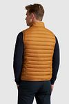 Vanguard Bodywarmer Densylon Oranje Model / Achterkant