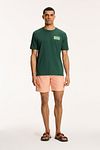 Shiwi T-Shirt Sardines w kolorze Cilantro Green Model / Voorkant