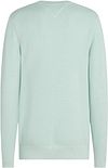 Tommy Hilfiger Maglione strutturato verde menta Product / Achterkant
