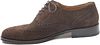 Steppin' Out Brighton Brogue Shoes Brązowe Product / Detail
