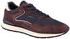 Hoff Sneaker City Suède Bordeaux/Brun 22602414-BROWN kopen | Suitable