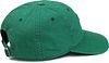Levi's Cap Monogram Washed Green Product / Achterkant