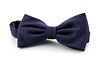 Silk Bow Tie Dark Purple F62 9120762A