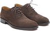 Steppin' Out Brighton Brogue Shoes Brązowe Product / Detail