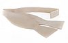 Køb Selvbinder Slips i Champagnefarvet Silke F10 9160710A | Suitable