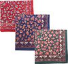 Barbour Hankie Handkerchief Paisley Product / Detail