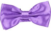 Suitable Satin Bow Tie Purple