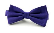 Silk Bow Tie Deep Purple F55