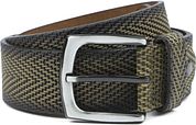 Suitable Belt Structure Leather Green