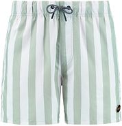 Shiwi Swimshorts Mac Light Green