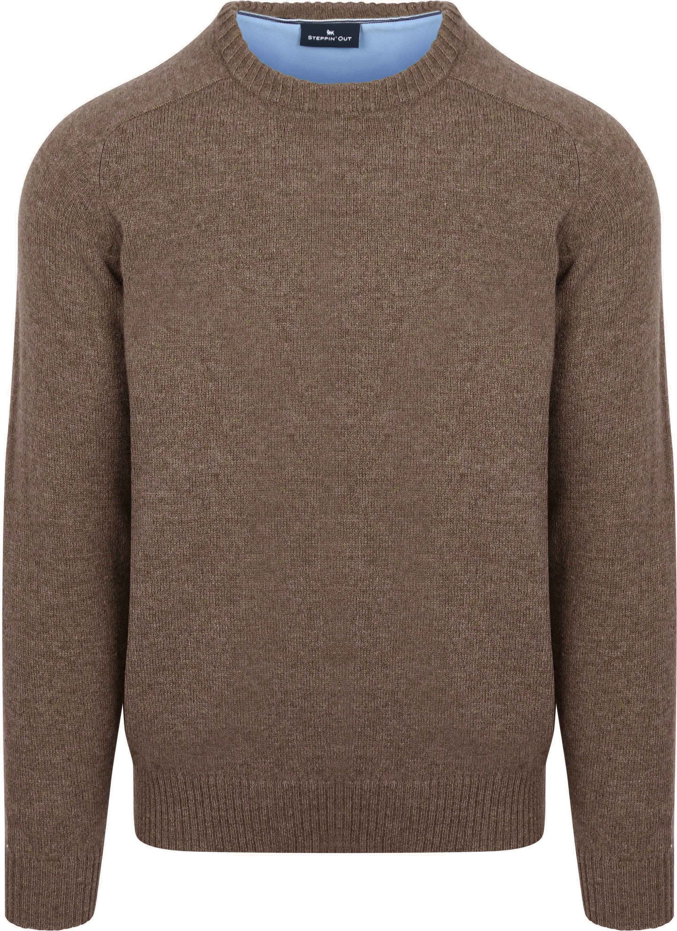 Steppin' Out Sweter Brązowy PU-O-LMBS-100P-SO-25.03 Prodicy Brown 