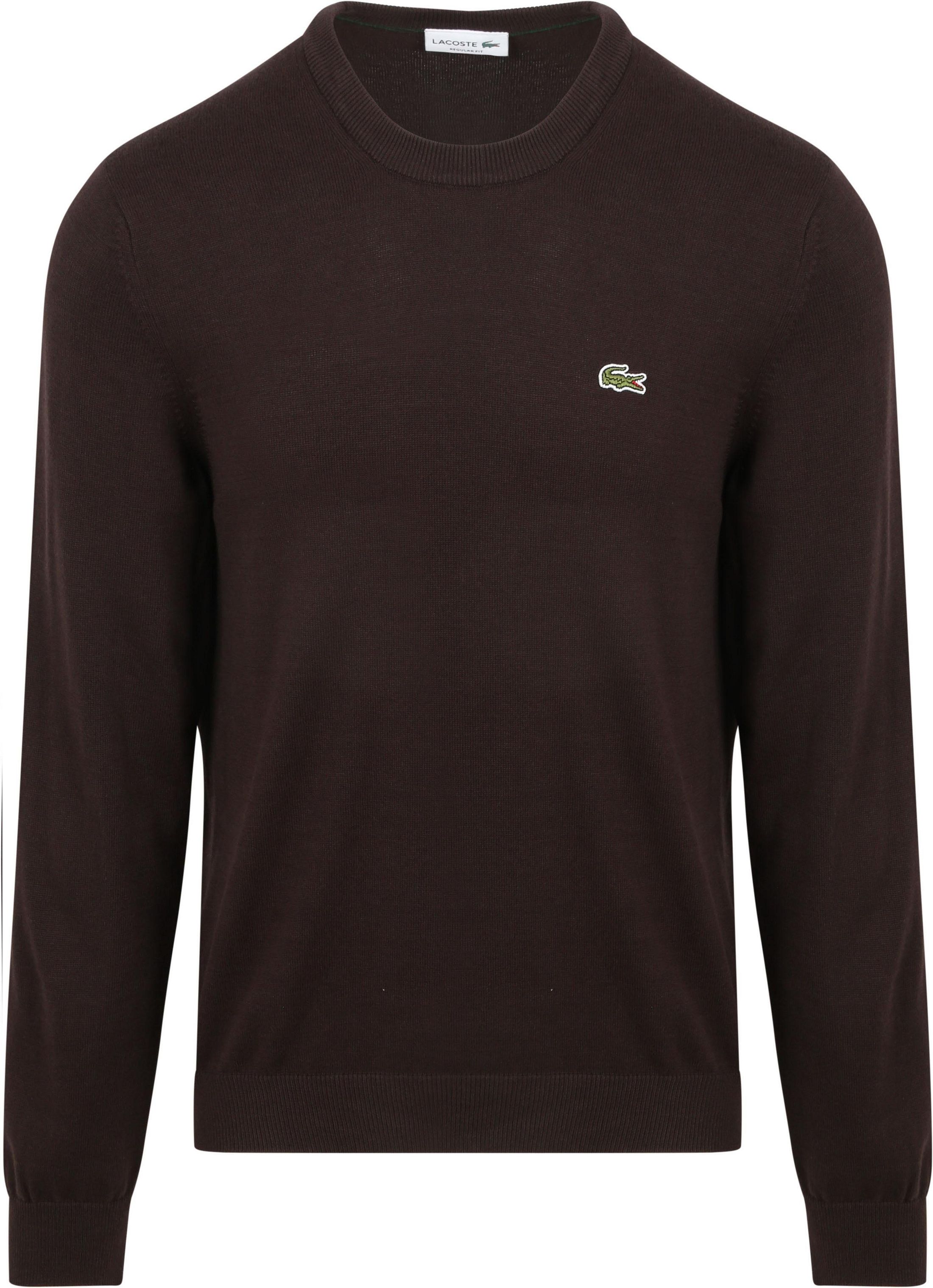 Lacoste Pullover Dark Brown order online | Suitable