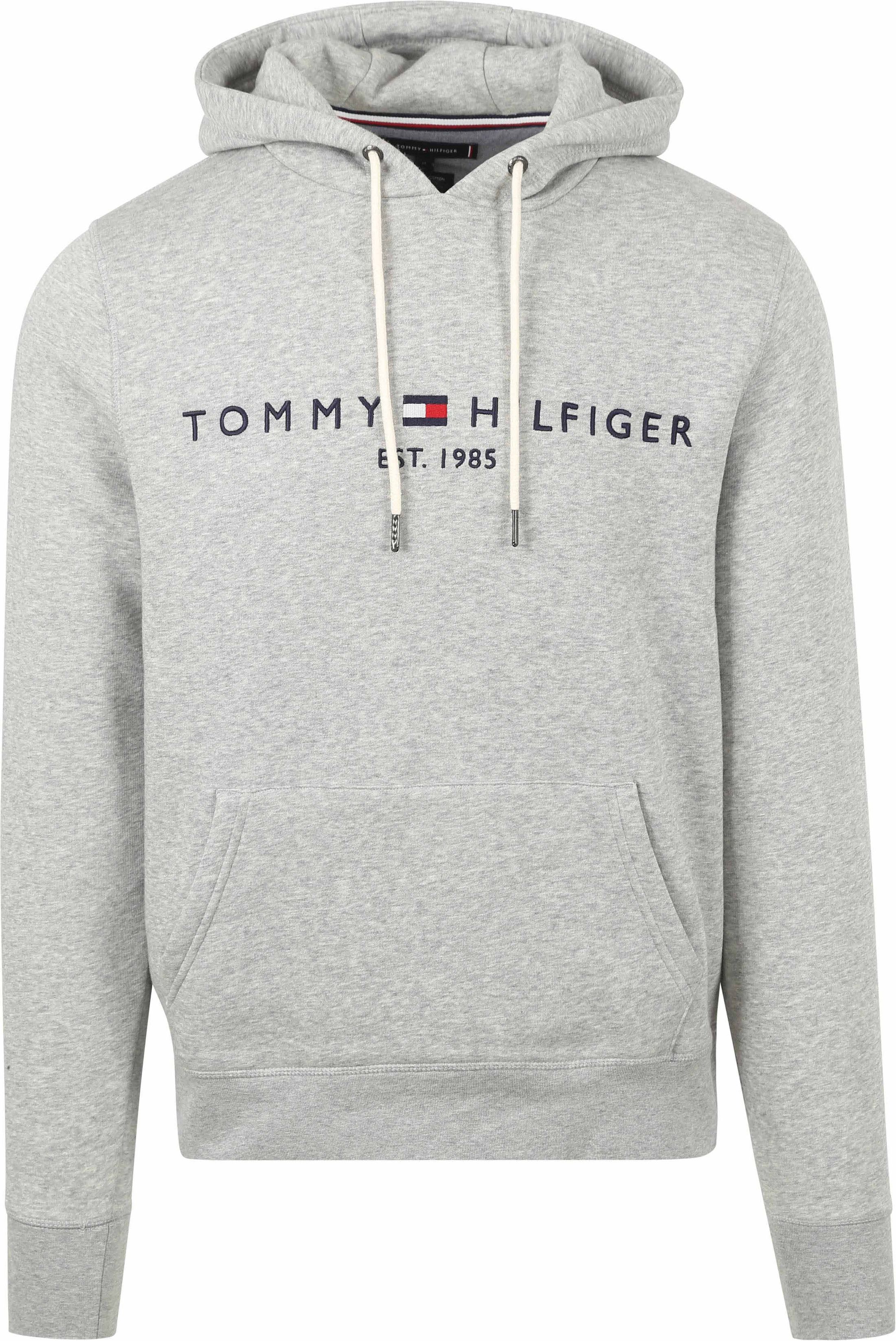Tommy Hilfiger Hoodie Core Grå MW0MW10752-501