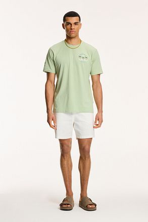 Shiwi T-Shirt Antigua Port Dust Green