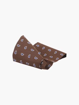 Suitable Silk Necktie Paisley Brown