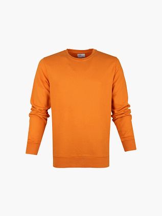 Colorful Standard Sudadera Organic Naranja