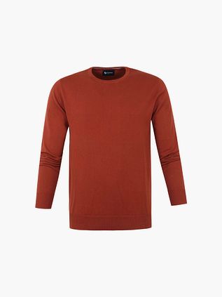 Suitable Respect Oini Pullover O-hals Rust