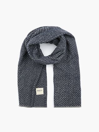 Barts Sohoho Echarpe Bleu Gris