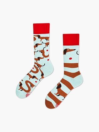 Many Mornings sokker Dachshund