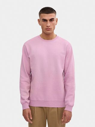 Colorful Standard Pull Violet