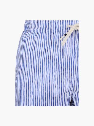 Napapijri Bademode Elior Streifen Blau