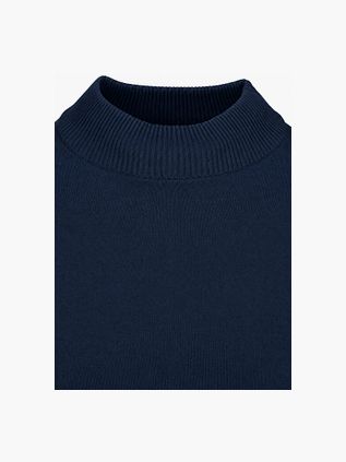 Suitable Canes Pullover Turtle Navy