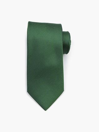 Suitable Silk Tie Green