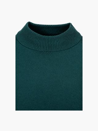 Suitable Canes Pullover Turtle Dark Green