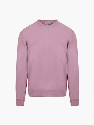 Colorful Standard Pull Violet