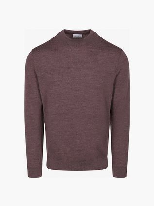 Profuomo Turtleneck Trui Merinowol Aubergine