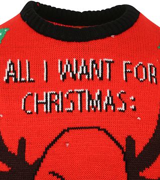 Herren Weihnachtspullover mit Rentier Motiv LED Licht