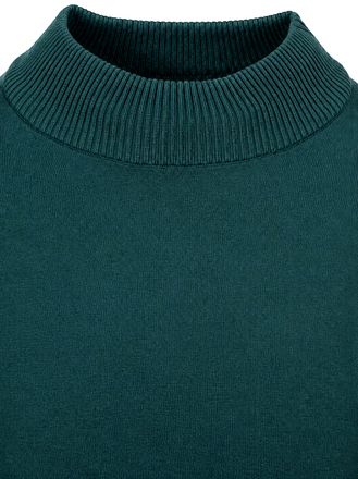 Suitable Canes Pullover Turtle Dark Green