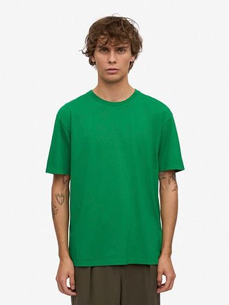 CS1001 Kelly Green