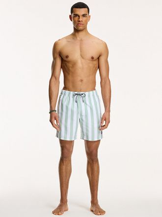 Shiwi Swimshorts Mac Light Green