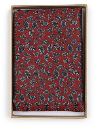 Suitable Zijde Pochet Paisley Bordeaux