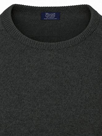 WG14007-Seaweed