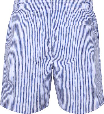 Napapijri Swimwear Elior Randig Blå Product / Achterkant