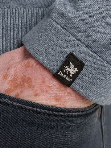 Vanguard Longsleeve Poloshirt Blauw Model / Detail